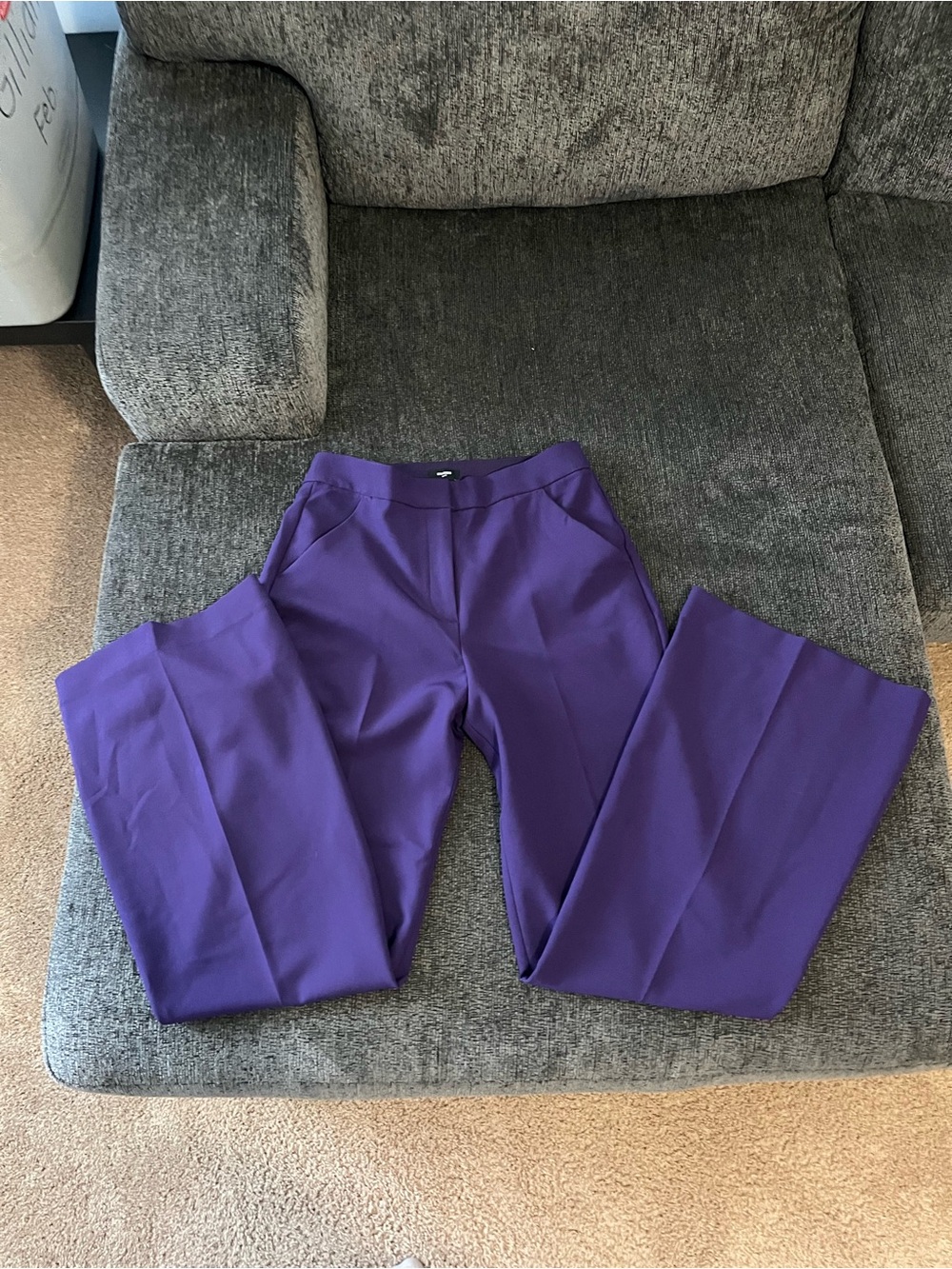 Express Purple Wide-Leg Dress Pants